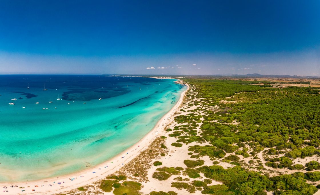 Playa con aguas turquesas, arena blanca y vegetación costera. Cielo despejado.