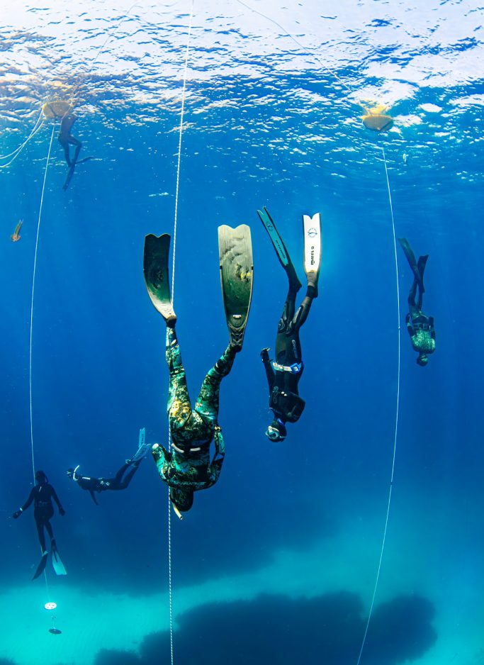 Varios buzos en el agua, descendiendo por cuerdas en un entorno marino.